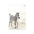 Picture of Summer Zebra _GroupedProduct_Rectangle_Portrait_Mini_ _GroupedProduct_Rectangle_Portrait_Unframed_Print_Only_