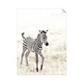 Picture of Summer Zebra _GroupedProduct_Rectangle_Portrait_Mini_ _GroupedProduct_Rectangle_Portrait_Unframed_Print_Only_