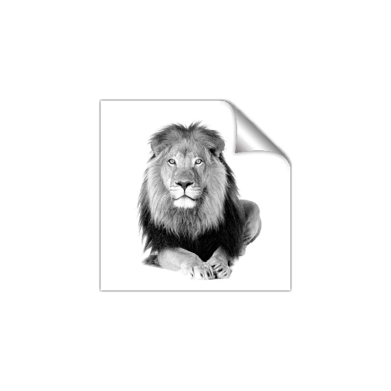 Picture of Lion Black and White _GroupedProduct_Square_Mini_ _GroupedProduct_Square_Unframed_Print_Only_
