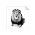 Picture of Lion Black and White _GroupedProduct_Square_Mini_ _GroupedProduct_Square_Unframed_Print_Only_