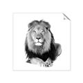 Picture of Lion Black and White _GroupedProduct_Square_Mini_ _GroupedProduct_Square_Unframed_Print_Only_