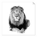 Picture of Lion Black and White _GroupedProduct_Square_Mini_ _GroupedProduct_Square_Unframed_Print_Only_