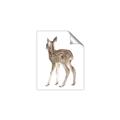 Picture of Behind Deer _GroupedProduct_Rectangle_Portrait_Mini_ _GroupedProduct_Rectangle_Portrait_Unframed_Print_Only_