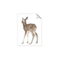 Picture of Behind Deer _GroupedProduct_Rectangle_Portrait_Mini_ _GroupedProduct_Rectangle_Portrait_Unframed_Print_Only_