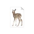 Picture of Behind Deer _GroupedProduct_Rectangle_Portrait_Mini_ _GroupedProduct_Rectangle_Portrait_Unframed_Print_Only_