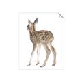 Picture of Behind Deer _GroupedProduct_Rectangle_Portrait_Mini_ _GroupedProduct_Rectangle_Portrait_Unframed_Print_Only_