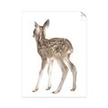 Picture of Behind Deer _GroupedProduct_Rectangle_Portrait_Mini_ _GroupedProduct_Rectangle_Portrait_Unframed_Print_Only_
