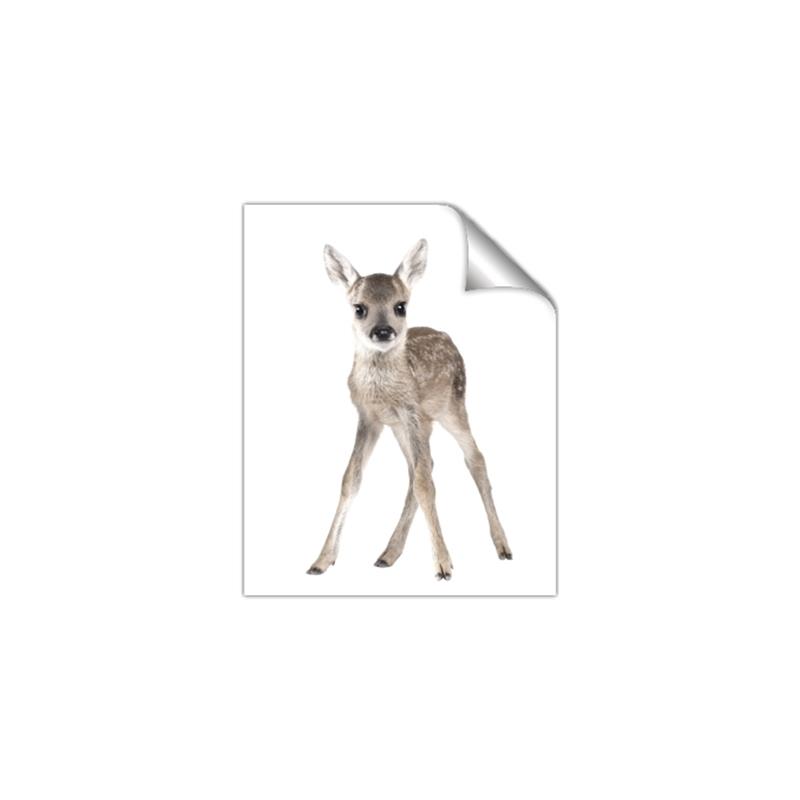 Picture of In Front Deer _GroupedProduct_Rectangle_Portrait_Mini_ _GroupedProduct_Rectangle_Portrait_Unframed_Print_Only_