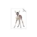 Picture of In Front Deer _GroupedProduct_Rectangle_Portrait_Mini_ _GroupedProduct_Rectangle_Portrait_Unframed_Print_Only_