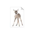 Picture of In Front Deer _GroupedProduct_Rectangle_Portrait_Mini_ _GroupedProduct_Rectangle_Portrait_Unframed_Print_Only_