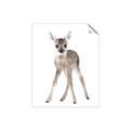 Picture of In Front Deer _GroupedProduct_Rectangle_Portrait_Mini_ _GroupedProduct_Rectangle_Portrait_Unframed_Print_Only_