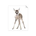 Picture of In Front Deer _GroupedProduct_Rectangle_Portrait_Mini_ _GroupedProduct_Rectangle_Portrait_Unframed_Print_Only_