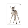 Picture of In Front Deer _GroupedProduct_Rectangle_Portrait_Mini_ _GroupedProduct_Rectangle_Portrait_Unframed_Print_Only_