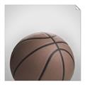 Picture of Basketball     _GroupedProduct_Square_Mini_ _GroupedProduct_Square_Unframed_Print_Only_
