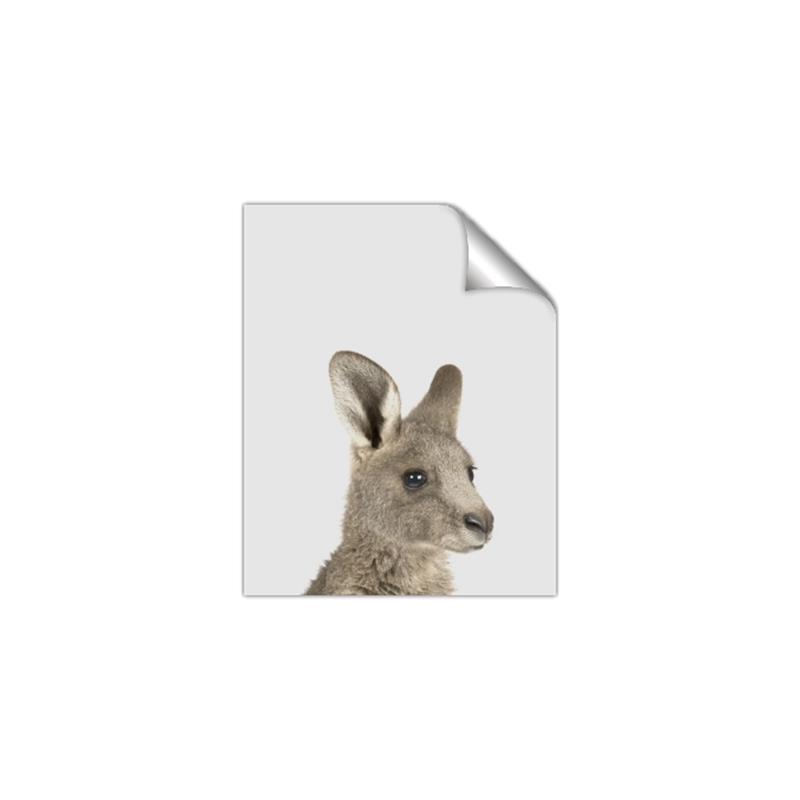 Picture of Kangaroo    _GroupedProduct_Rectangle_Portrait_Mini_ _GroupedProduct_Rectangle_Portrait_Unframed_Print_Only_
