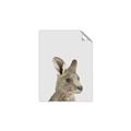 Picture of Kangaroo    _GroupedProduct_Rectangle_Portrait_Mini_ _GroupedProduct_Rectangle_Portrait_Unframed_Print_Only_