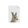 Picture of Kangaroo    _GroupedProduct_Rectangle_Portrait_Mini_ _GroupedProduct_Rectangle_Portrait_Unframed_Print_Only_