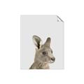 Picture of Kangaroo    _GroupedProduct_Rectangle_Portrait_Mini_ _GroupedProduct_Rectangle_Portrait_Unframed_Print_Only_