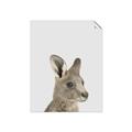 Picture of Kangaroo    _GroupedProduct_Rectangle_Portrait_Mini_ _GroupedProduct_Rectangle_Portrait_Unframed_Print_Only_