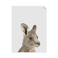 Picture of Kangaroo    _GroupedProduct_Rectangle_Portrait_Mini_ _GroupedProduct_Rectangle_Portrait_Unframed_Print_Only_