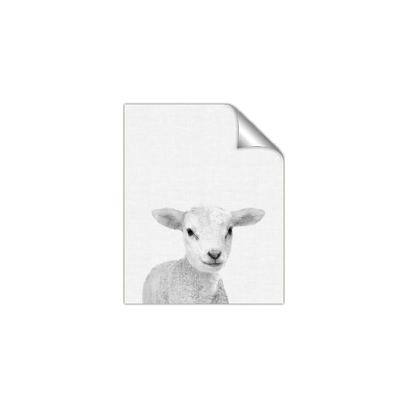 Picture of Farmhouse Sheep _GroupedProduct_Rectangle_Portrait_Mini_ _GroupedProduct_Rectangle_Portrait_Unframed_Print_Only_