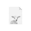 Picture of Farmhouse Sheep _GroupedProduct_Rectangle_Portrait_Mini_ _GroupedProduct_Rectangle_Portrait_Unframed_Print_Only_