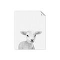 Picture of Farmhouse Sheep _GroupedProduct_Rectangle_Portrait_Mini_ _GroupedProduct_Rectangle_Portrait_Unframed_Print_Only_