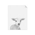 Picture of Farmhouse Sheep _GroupedProduct_Rectangle_Portrait_Mini_ _GroupedProduct_Rectangle_Portrait_Unframed_Print_Only_