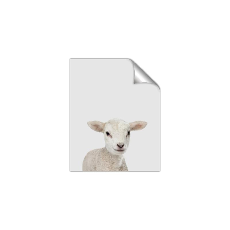 Picture of Baby Lamb _GroupedProduct_Rectangle_Portrait_Mini_ _GroupedProduct_Rectangle_Portrait_Unframed_Print_Only_