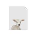 Picture of Baby Lamb _GroupedProduct_Rectangle_Portrait_Mini_ _GroupedProduct_Rectangle_Portrait_Unframed_Print_Only_