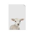 Picture of Baby Lamb _GroupedProduct_Rectangle_Portrait_Mini_ _GroupedProduct_Rectangle_Portrait_Unframed_Print_Only_