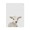 Picture of Baby Lamb _GroupedProduct_Rectangle_Portrait_Mini_ _GroupedProduct_Rectangle_Portrait_Unframed_Print_Only_
