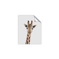 Picture of Baby Giraffe _GroupedProduct_Rectangle_Portrait_Mini_ _GroupedProduct_Rectangle_Portrait_Unframed_Print_Only_