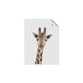 Picture of Baby Giraffe _GroupedProduct_Rectangle_Portrait_Mini_ _GroupedProduct_Rectangle_Portrait_Unframed_Print_Only_