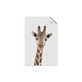 Picture of Baby Giraffe _GroupedProduct_Rectangle_Portrait_Mini_ _GroupedProduct_Rectangle_Portrait_Unframed_Print_Only_