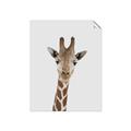 Picture of Baby Giraffe _GroupedProduct_Rectangle_Portrait_Mini_ _GroupedProduct_Rectangle_Portrait_Unframed_Print_Only_