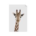 Picture of Baby Giraffe _GroupedProduct_Rectangle_Portrait_Mini_ _GroupedProduct_Rectangle_Portrait_Unframed_Print_Only_