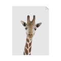 Picture of Baby Giraffe _GroupedProduct_Rectangle_Portrait_Mini_ _GroupedProduct_Rectangle_Portrait_Unframed_Print_Only_