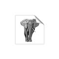 Picture of Elephant Black and White _GroupedProduct_Square_Mini_ _GroupedProduct_Square_Unframed_Print_Only_