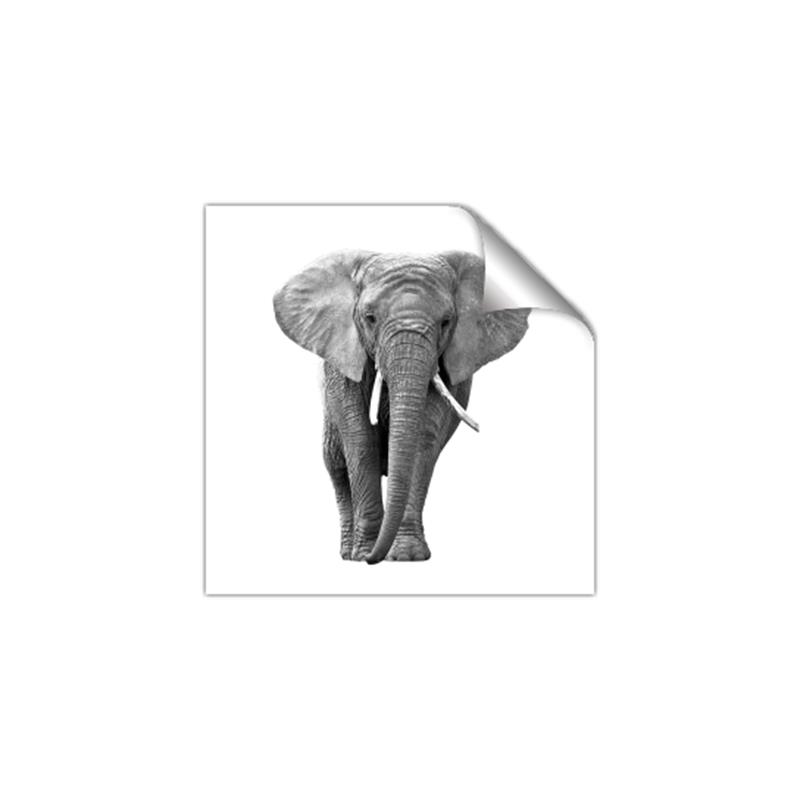 Picture of Elephant Black and White _GroupedProduct_Square_Mini_ _GroupedProduct_Square_Unframed_Print_Only_