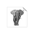 Picture of Elephant Black and White _GroupedProduct_Square_Mini_ _GroupedProduct_Square_Unframed_Print_Only_