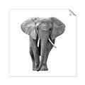 Picture of Elephant Black and White _GroupedProduct_Square_Mini_ _GroupedProduct_Square_Unframed_Print_Only_