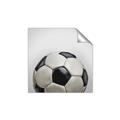 Picture of Soccerball _GroupedProduct_Square_Mini_ _GroupedProduct_Square_Unframed_Print_Only_