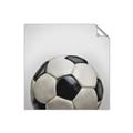 Picture of Soccerball _GroupedProduct_Square_Mini_ _GroupedProduct_Square_Unframed_Print_Only_