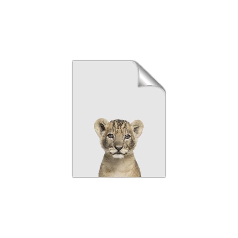 Picture of Baby Lion _GroupedProduct_Rectangle_Portrait_Mini_ _GroupedProduct_Rectangle_Portrait_Unframed_Print_Only_
