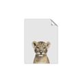 Picture of Baby Lion _GroupedProduct_Rectangle_Portrait_Mini_ _GroupedProduct_Rectangle_Portrait_Unframed_Print_Only_