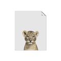 Picture of Baby Lion _GroupedProduct_Rectangle_Portrait_Mini_ _GroupedProduct_Rectangle_Portrait_Unframed_Print_Only_