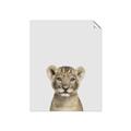 Picture of Baby Lion _GroupedProduct_Rectangle_Portrait_Mini_ _GroupedProduct_Rectangle_Portrait_Unframed_Print_Only_