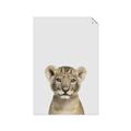Picture of Baby Lion _GroupedProduct_Rectangle_Portrait_Mini_ _GroupedProduct_Rectangle_Portrait_Unframed_Print_Only_