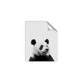 Picture of Panda Portrait _GroupedProduct_Rectangle_Portrait_Mini_ _GroupedProduct_Rectangle_Portrait_Unframed_Print_Only_